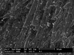 The Effect of Elemental and Mercury Compound Presence in Solution on Corrosion Phenomena of Aluminum and Low Carbon Steel